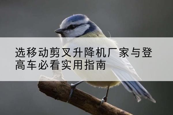 高州电动升降机厂家-选移动剪叉升降机厂家与登高车必看实用指南