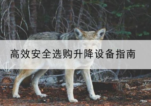 高州升降货梯厂家推荐-*安全选购升降设备指南