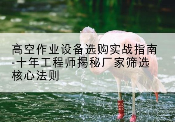 高州剪叉式升降机厂家-高空作业设备选购实战指南-十年工程师揭秘厂家筛选核心法则