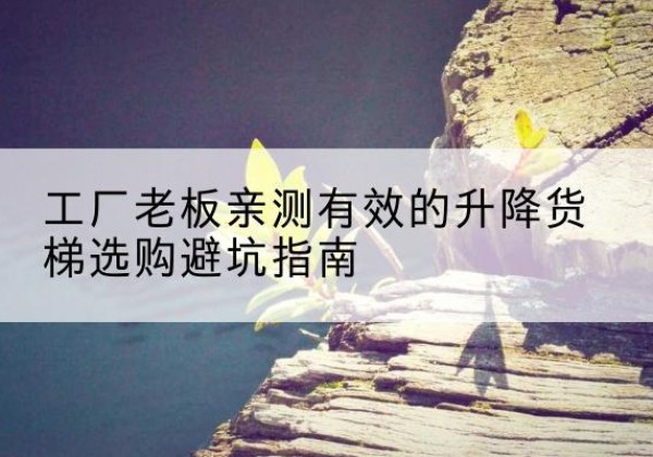 高州升降货梯怎么选-工厂老板亲测有效的升降货梯选购避坑指南